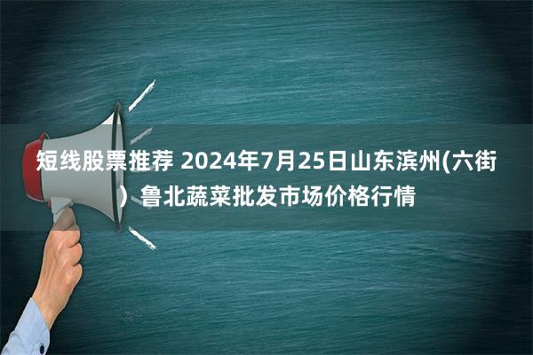 短线股票推荐 2024年7月25日山东滨州(六街）鲁北蔬菜批发市场价格行情