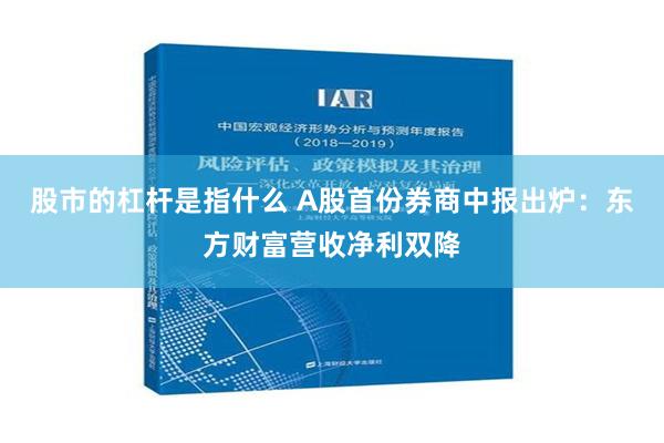 股市的杠杆是指什么 A股首份券商中报出炉：东方财富营收净利双降