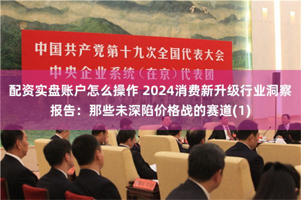 配资实盘账户怎么操作 2024消费新升级行业洞察报告：那些未深陷价格战的赛道(1)