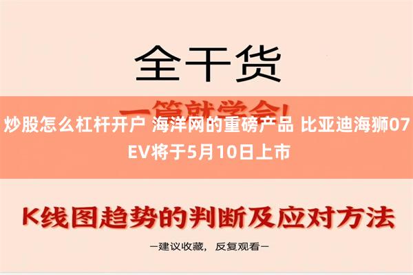 炒股怎么杠杆开户 海洋网的重磅产品 比亚迪海狮07 EV将于5月10日上市