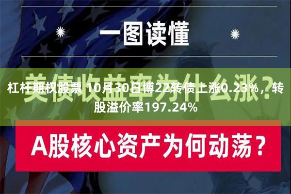 杠杆期权股票 10月30日博22转债上涨0.23%，转股溢价率197.24%