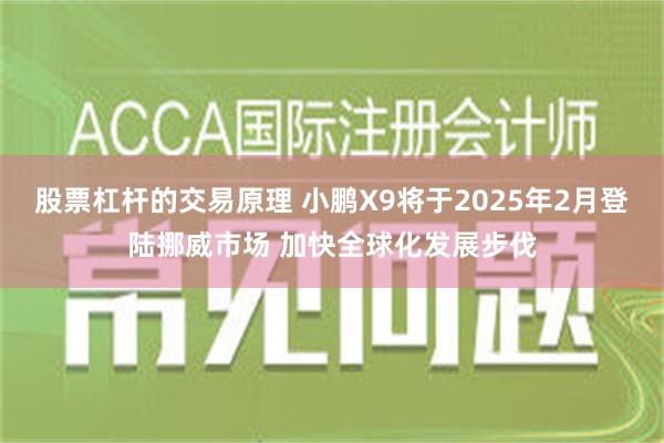 股票杠杆的交易原理 小鹏X9将于2025年2月登陆挪威市场 加快全球化发展步伐